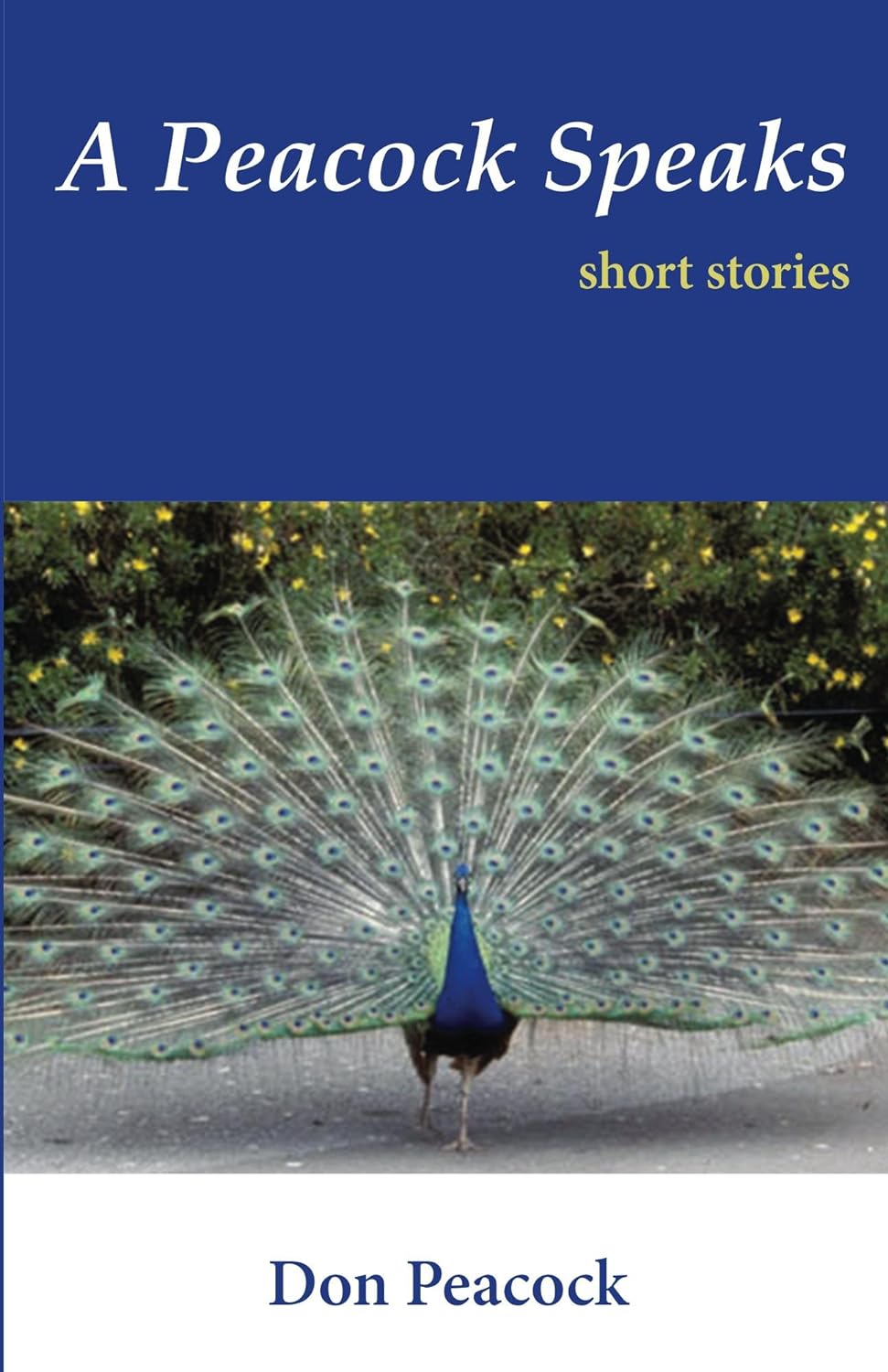 peacock cover peacock cover